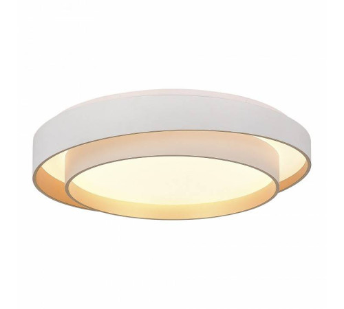 Накладной светильник EVOLUCE Crosby SLE6009-502-01