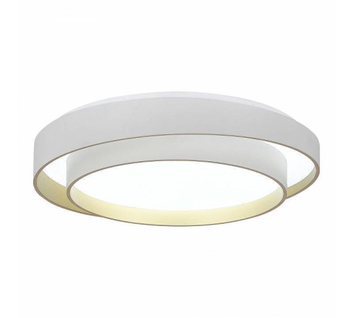 Накладной светильник EVOLUCE Crosby SLE6009-502-01