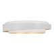 Накладной светильник EVOLUCE Crosby SLE6009-502-01