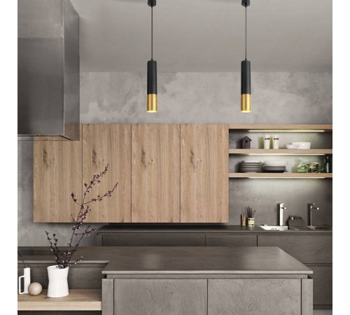 Подвесной светильник Eurosvet Tony DLN108 GU10 черный/золото