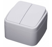 Выключатель двухклавишный Stekker Basic 39032