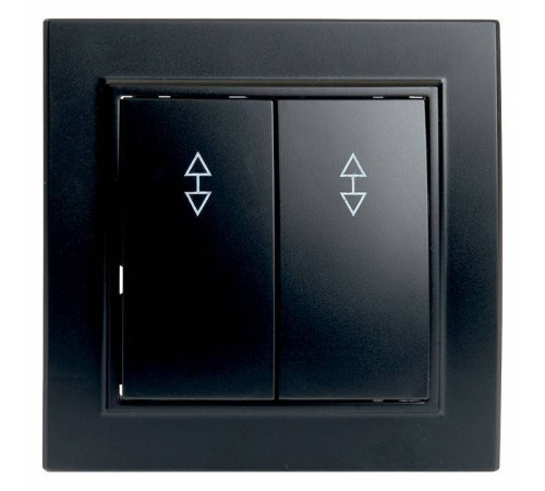 Выключатель двухклавишный Stekker Эрна 39921