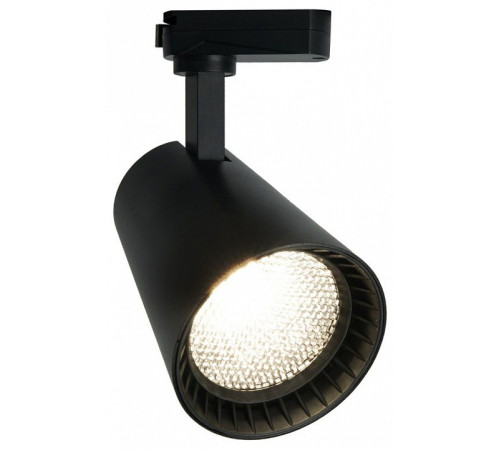 Светильник на штанге Feron AL100 41608