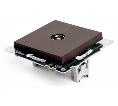 ТВ-розетка без рамки Stekker Катрин 49024