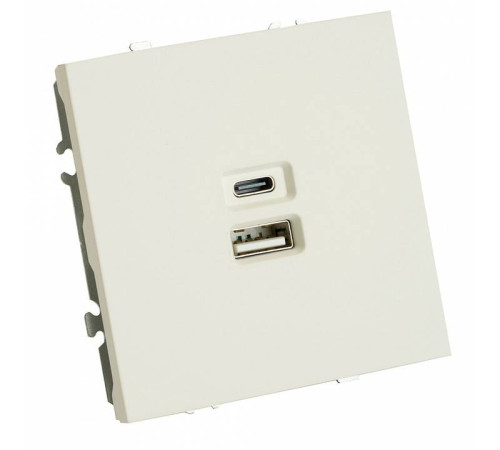 Розетка USB и type C без рамки Stekker RST10-5115-01 49879