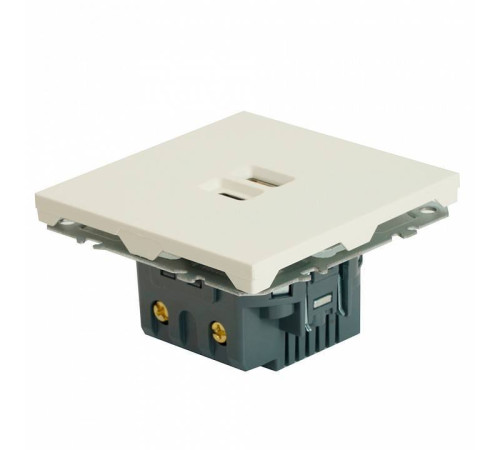 Розетка USB и type C без рамки Stekker RST10-5115-01 49879