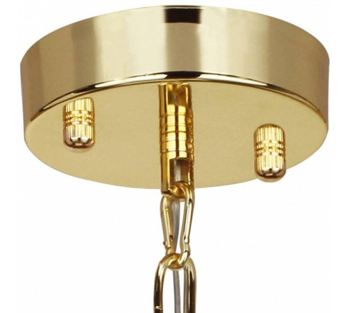 Подвесной светильник Favourite Chick 1928-2P