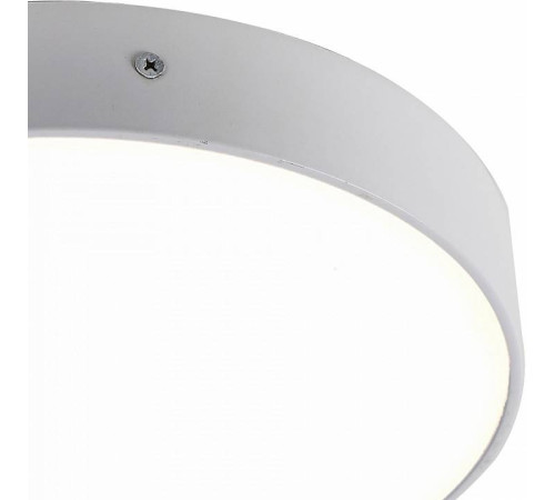 Накладной светильник Favourite Flashled 2065-30C