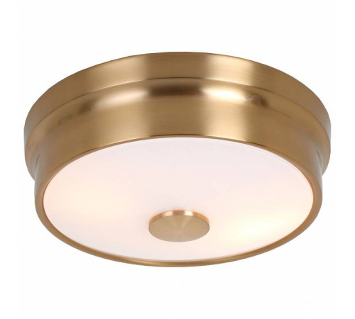 Потолочный светильник Favourite Pannikin 2375-2C