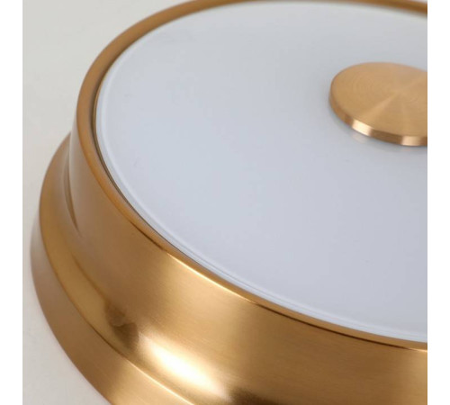 Потолочный светильник Favourite Pannikin 2375-2C