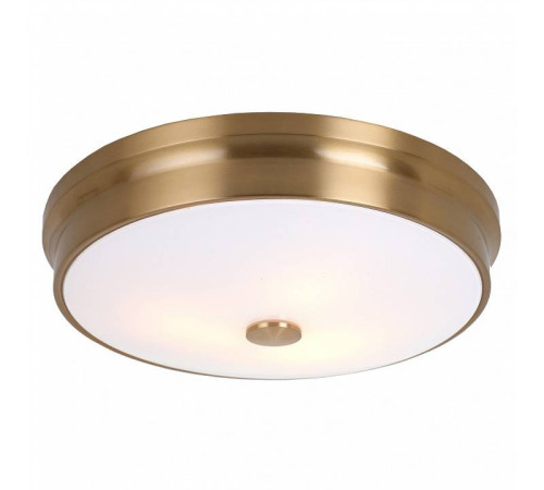 Потолочный светильник Favourite Pannikin 2375-3C