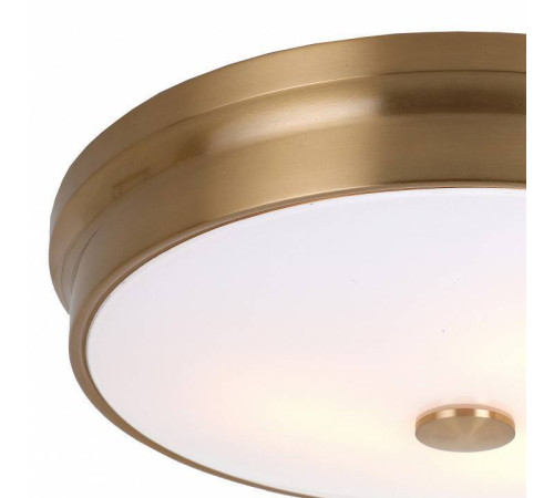 Потолочный светильник Favourite Pannikin 2375-3C