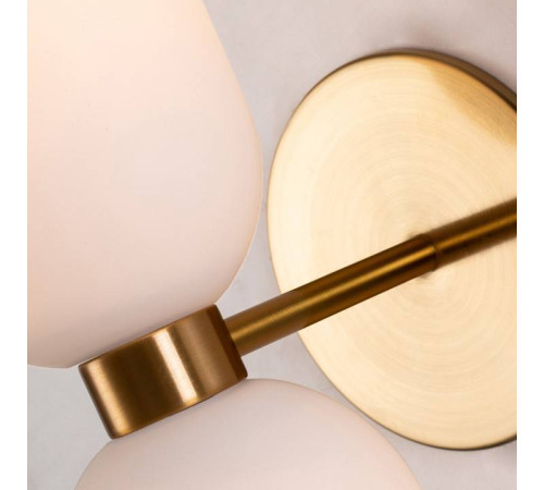 Бра Favourite Amusing 2876-1W