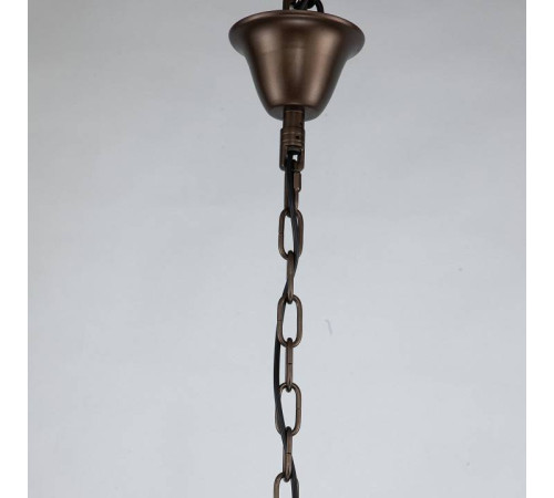 Подвесная люстра Favourite Tentacoli 3014-20P