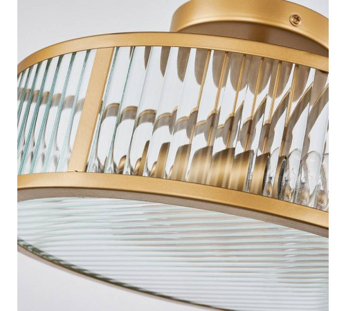 Светильник на штанге Favourite Radiales 3099-3C