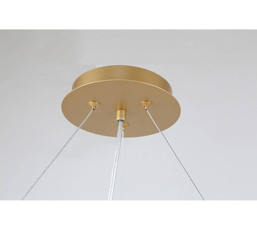 Подвесная люстра Favourite Ginkoa 4080-10P