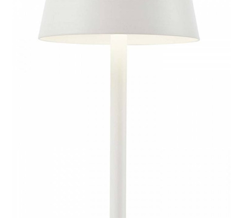 Настольная лампа декоративная F-promo Pyari 4614-1T