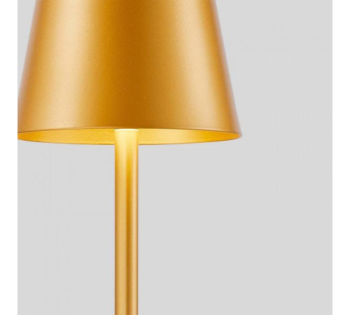 Настольная лампа декоративная F-promo Pyari 4616-1T