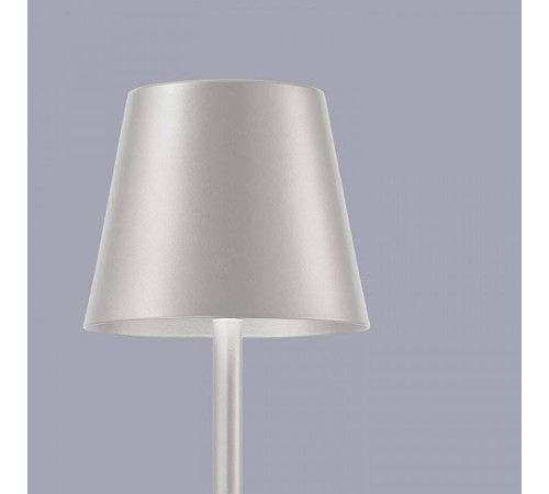 Настольная лампа декоративная F-promo Pyari 4617-1T