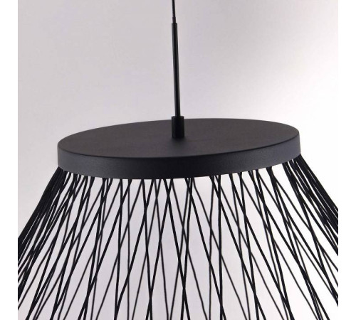 Подвесной светильник Favourite Fibra 4633-6P