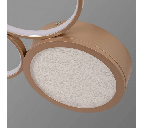 Потолочная люстра F-promo Campus 4681-3C