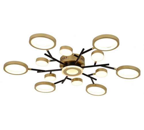 Потолочная люстра F-promo Hybrid 4686-13C