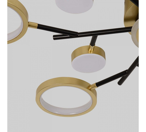 Потолочная люстра F-promo Hybrid 4686-13C