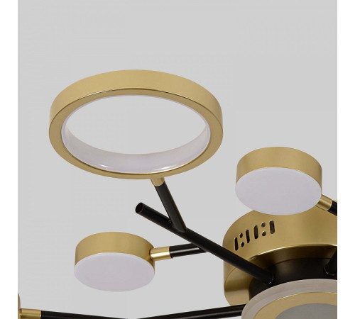 Потолочная люстра F-promo Hybrid 4686-13C