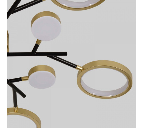 Потолочная люстра F-promo Hybrid 4686-13C