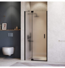 Душевая дверь RGW Hotel HO-014B 1100 мм черный 350601411-24