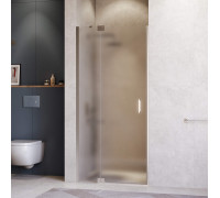 Душевая дверь RGW Hotel HO-014 1200 мм 350601412-21