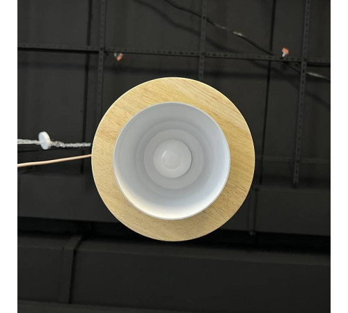 Подвесной светильник Imperiumloft Eco ECO1