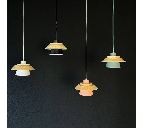 Подвесной светильник Imperiumloft Eco ECO1