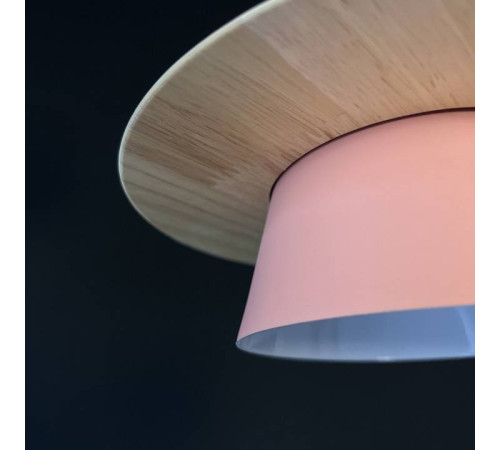 Подвесной светильник Imperiumloft Eco ECO1