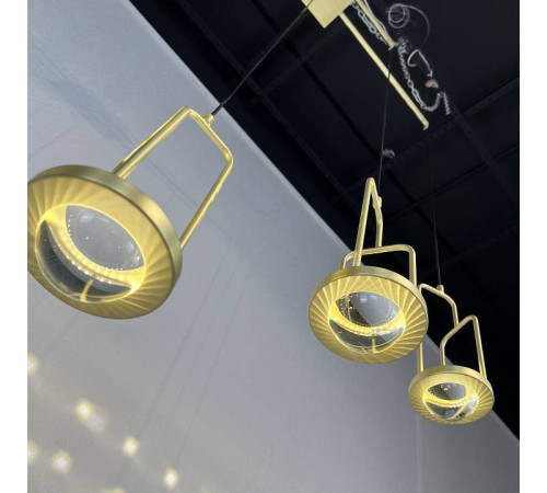 Подвесная люстра Imperiumloft DIGHTON dighton-ch01