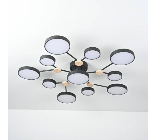 Потолочная люстра Imperiumloft GAMMA gamma01