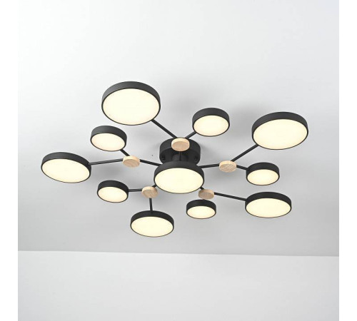 Потолочная люстра Imperiumloft GAMMA gamma01