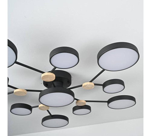 Потолочная люстра Imperiumloft GAMMA gamma01