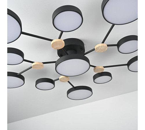 Потолочная люстра Imperiumloft GAMMA gamma01