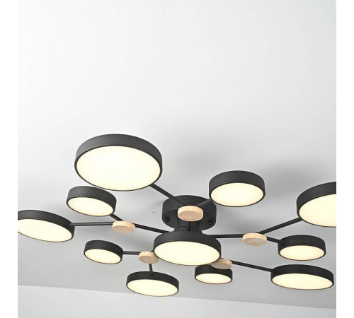 Потолочная люстра Imperiumloft GAMMA gamma01