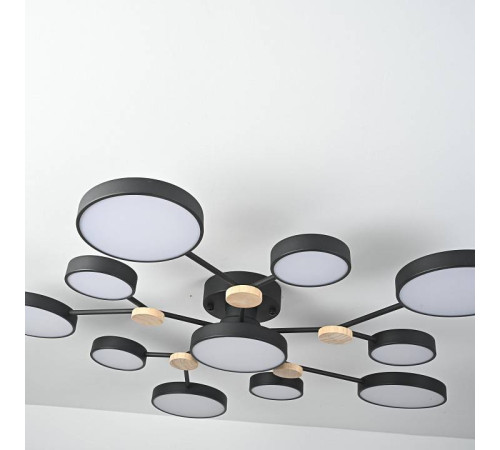 Потолочная люстра Imperiumloft GAMMA gamma01