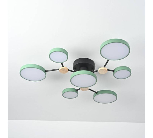 Потолочная люстра Imperiumloft GAMMA gamma01