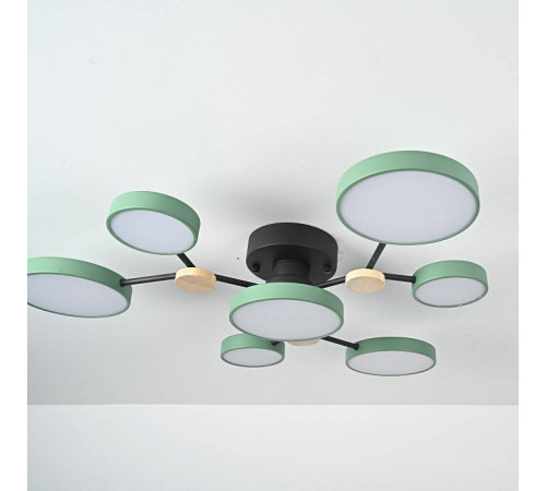 Потолочная люстра Imperiumloft GAMMA gamma01