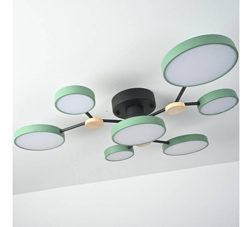 Потолочная люстра Imperiumloft GAMMA gamma01