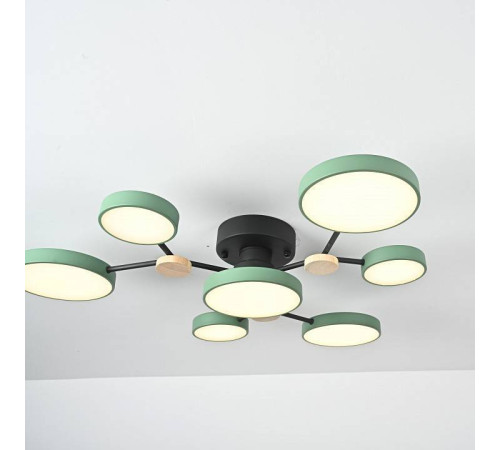 Потолочная люстра Imperiumloft GAMMA gamma01