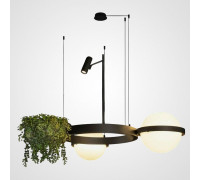 Подвесной светильник Imperiumloft PALMA palma01