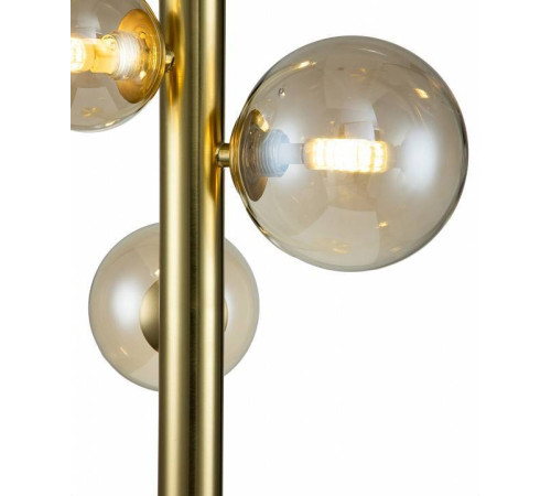 Настольная лампа декоративная Indigo Canto 11026/4T Gold