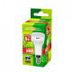 Лампа светодиодная Jazzway PLED-ECO-R50 5w E14 3000K