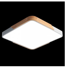 Накладной светильник Jazzway Sсandic 5037311