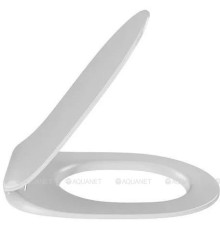 Крышка-сиденье для унитаза Jacob Delafon Cleo 1889 с микролифтом белый E24048-0